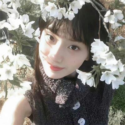 厨房的爱丽丝